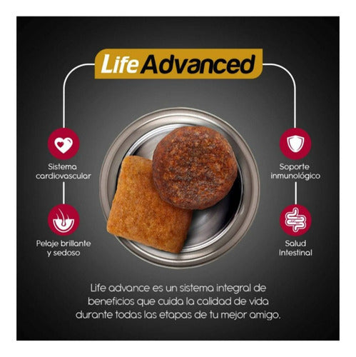 Alimento Perro Ganador Premium 21 Kg Adulto Mednas Y Grandes