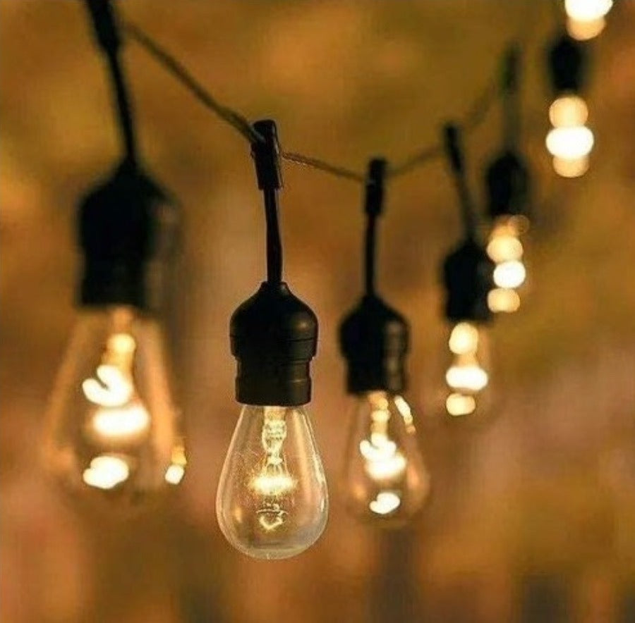 Extensión Serie Luces Led Focos Vintage 24 Bombillas