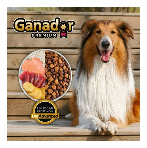 Alimento Perro Ganador Premium 21 Kg Adulto Mednas Y Grandes